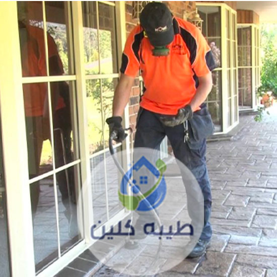 شركة مكافحة الوزغ بالدمام