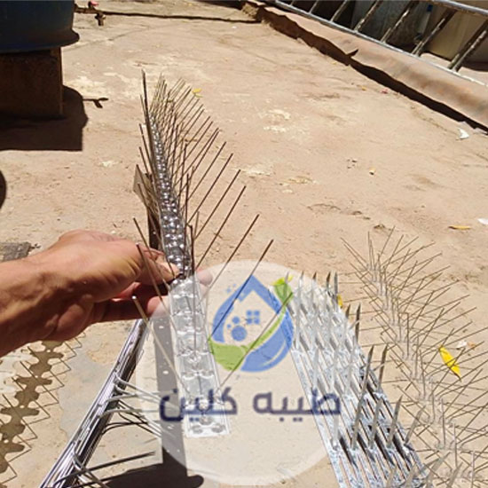 شركة مكافحة الحمام بالدمام